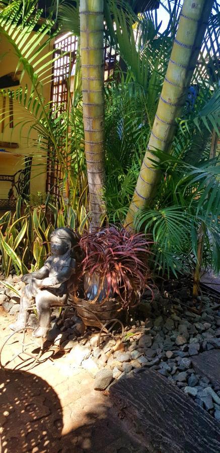 Africas Eden Guesthouse Mookgophong Dış mekan fotoğraf