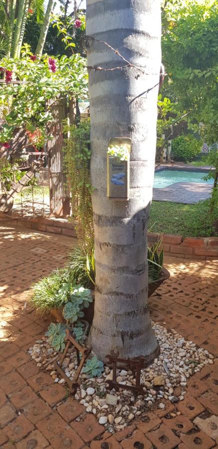 Africas Eden Guesthouse Mookgophong Dış mekan fotoğraf