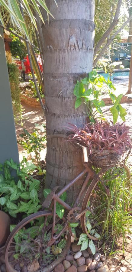 Africas Eden Guesthouse Mookgophong Dış mekan fotoğraf